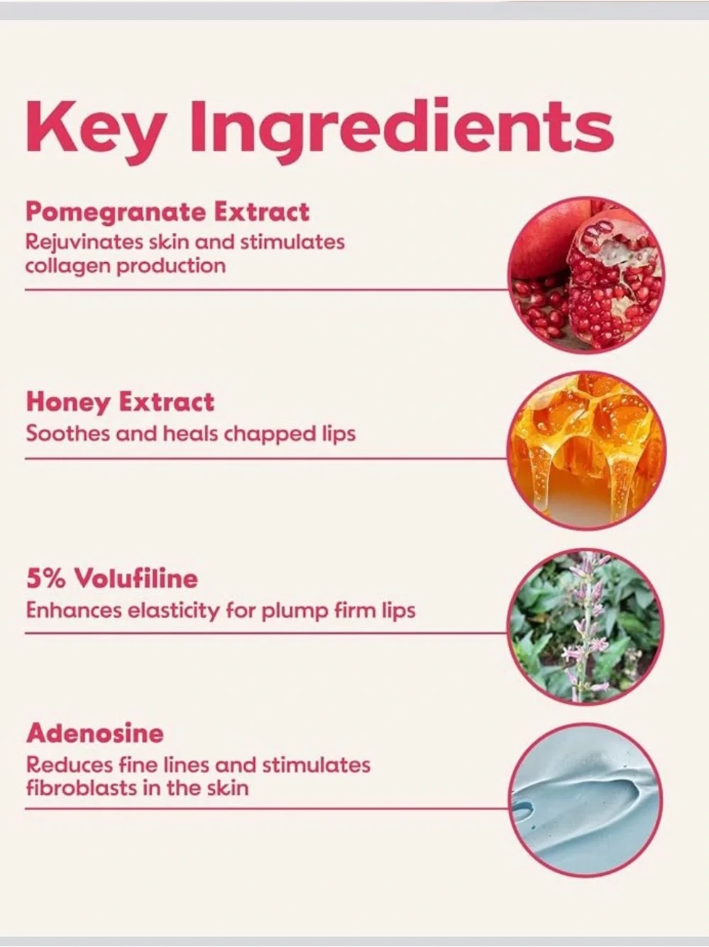 FRUDIA Pomegranate Honey Lip Balm NEW